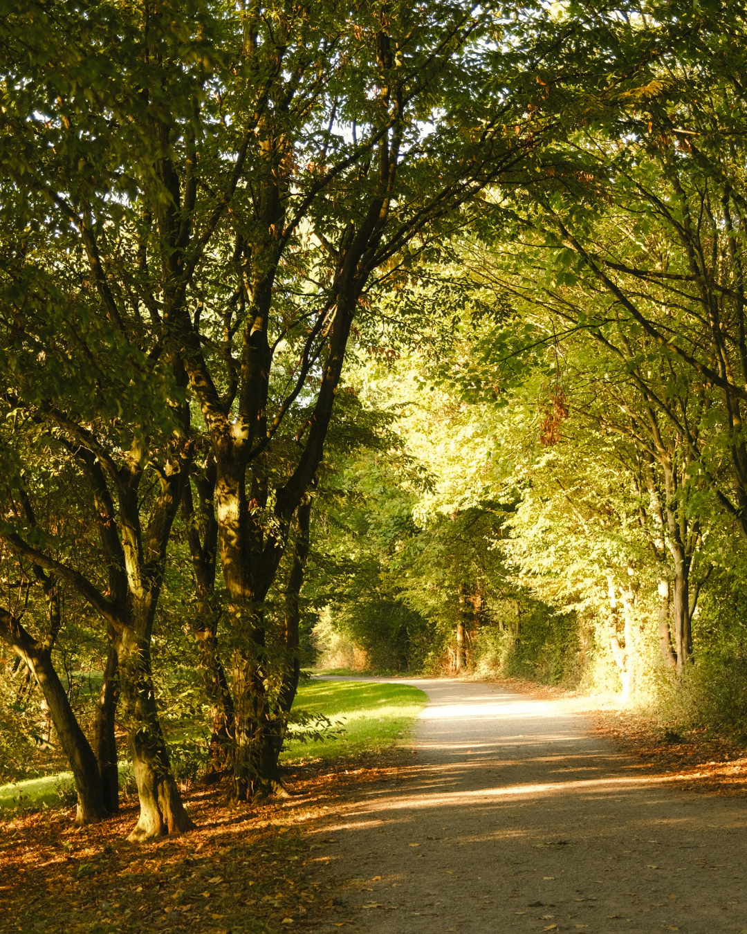 Alma Adolescente: Lecturas que nos acompañan más allá del tiempo