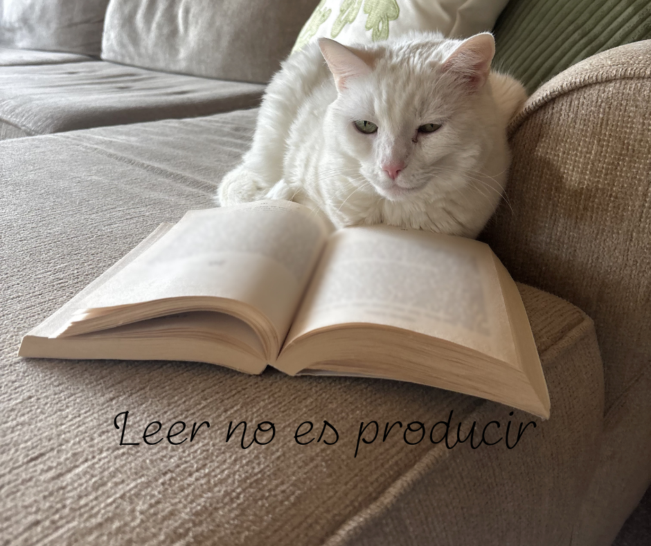 Leer no es producir