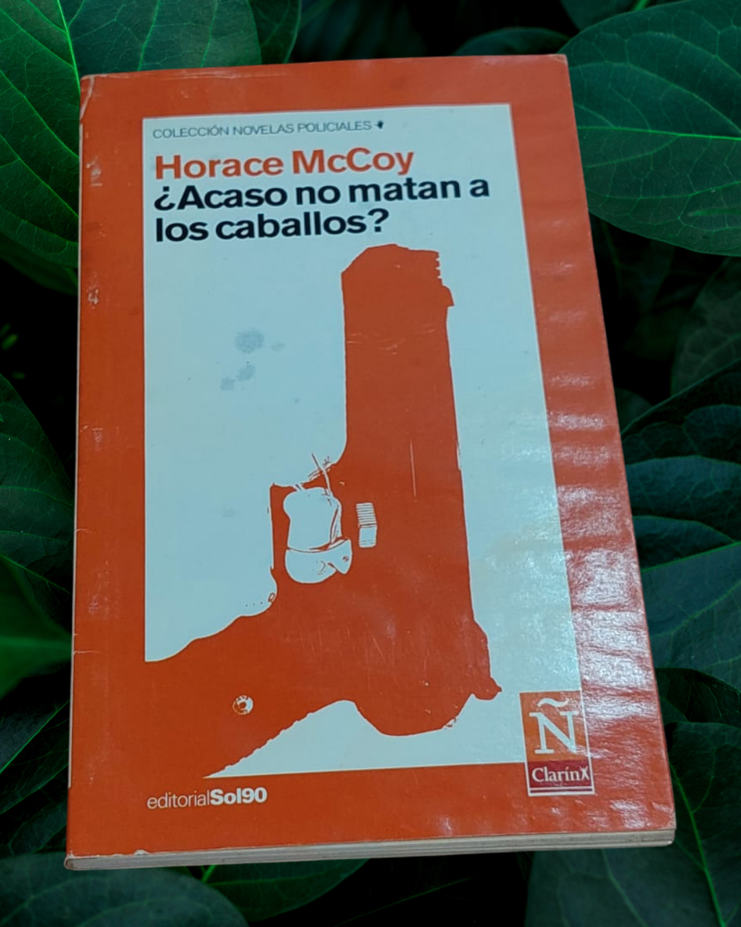 ¿Acaso no matan a los caballos?