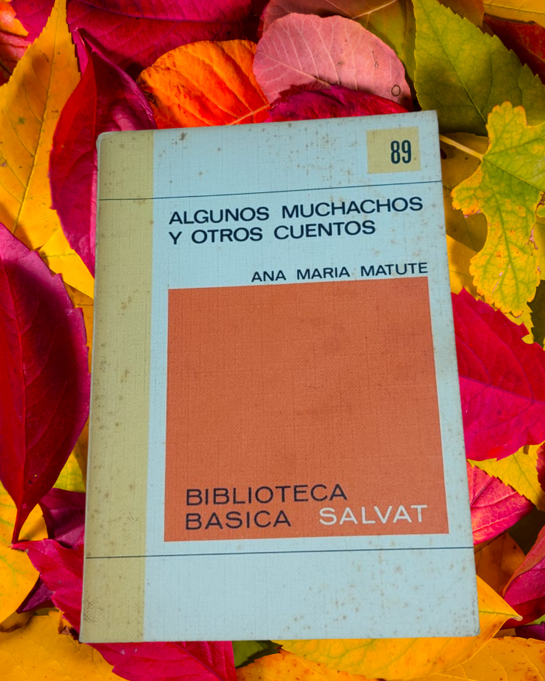 Algunos muchachos y otros cuentos