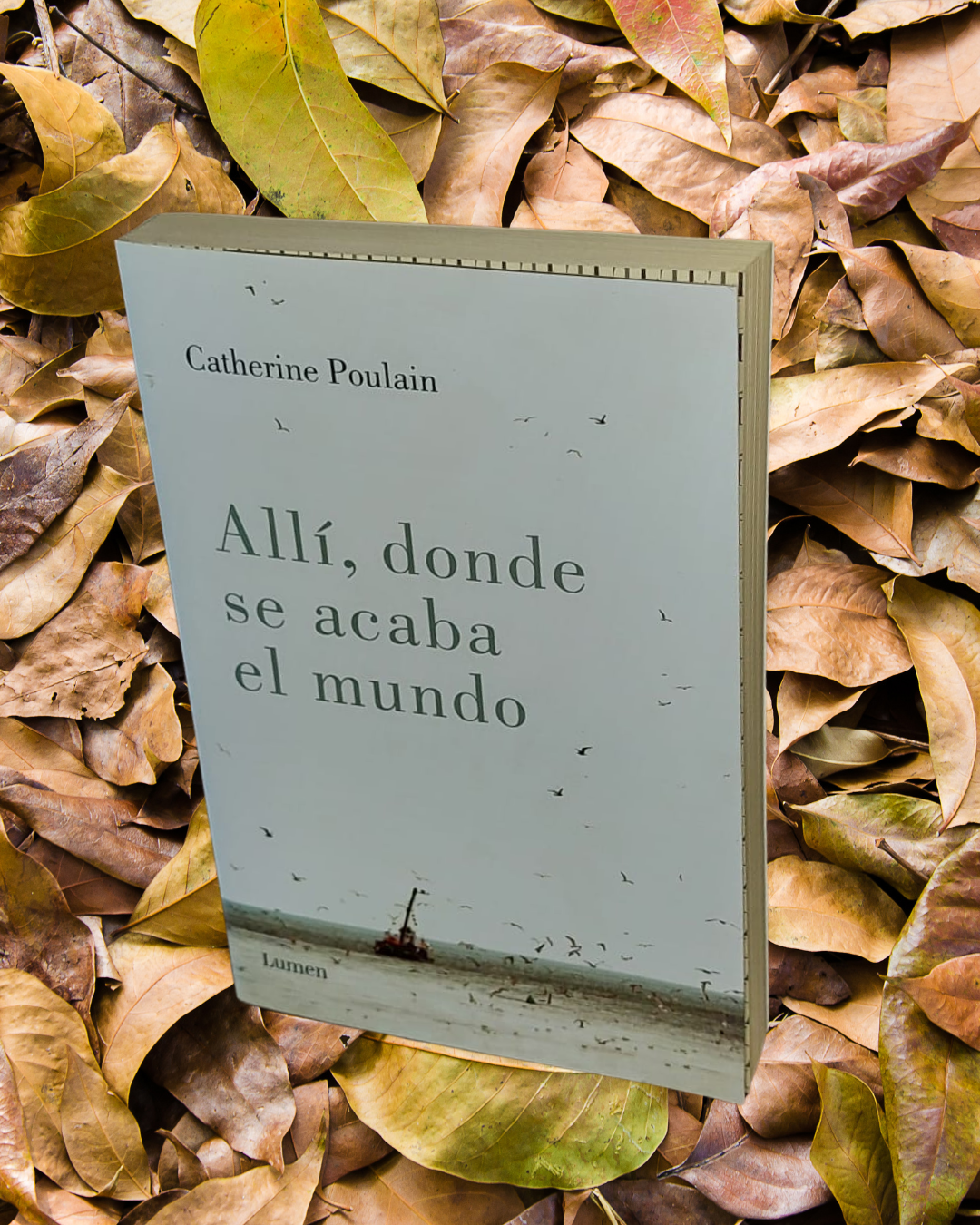 Allí, donde se acaba el mundo