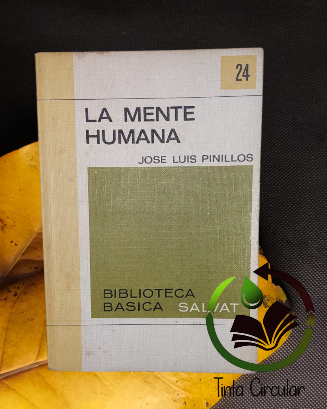 La mente humana