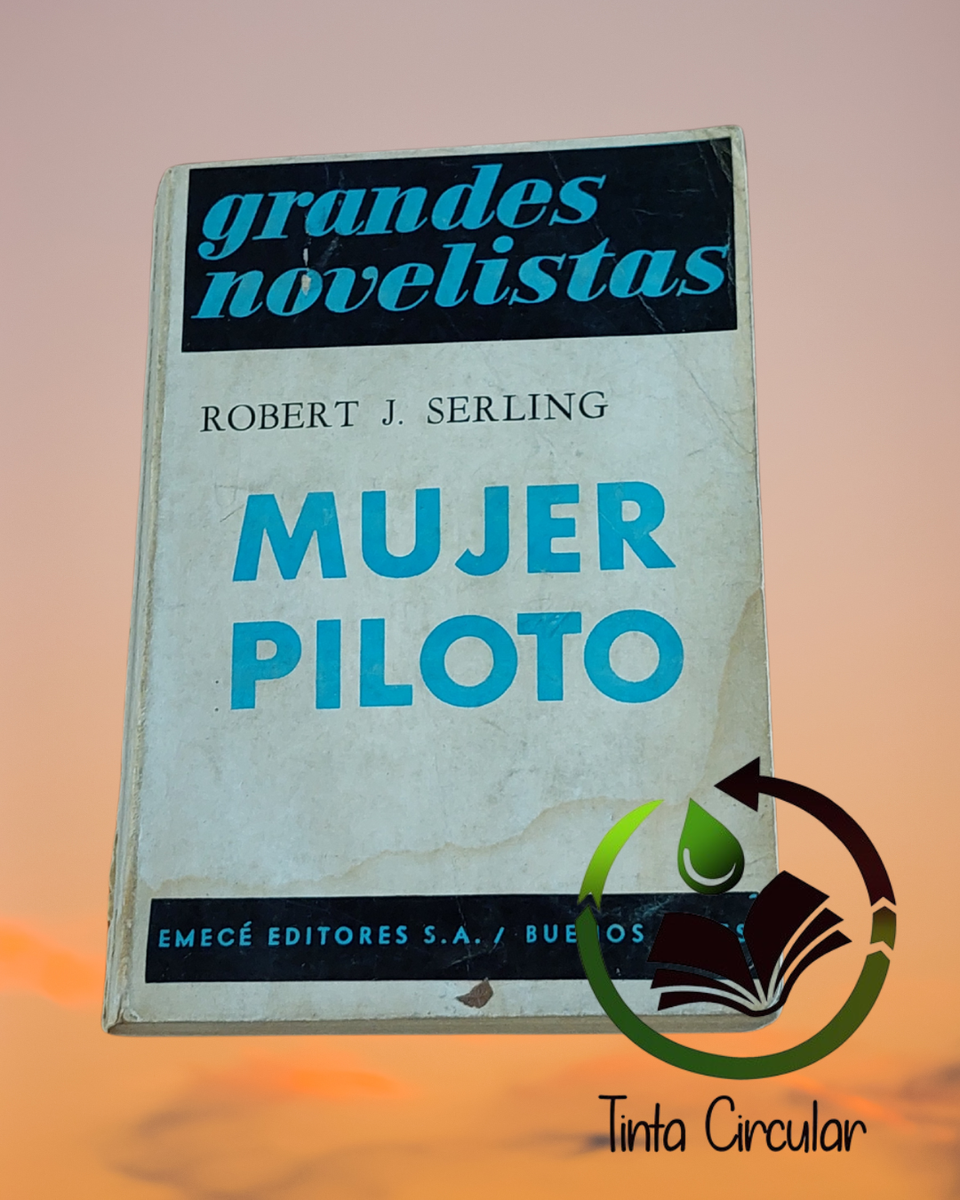 Mujer piloto