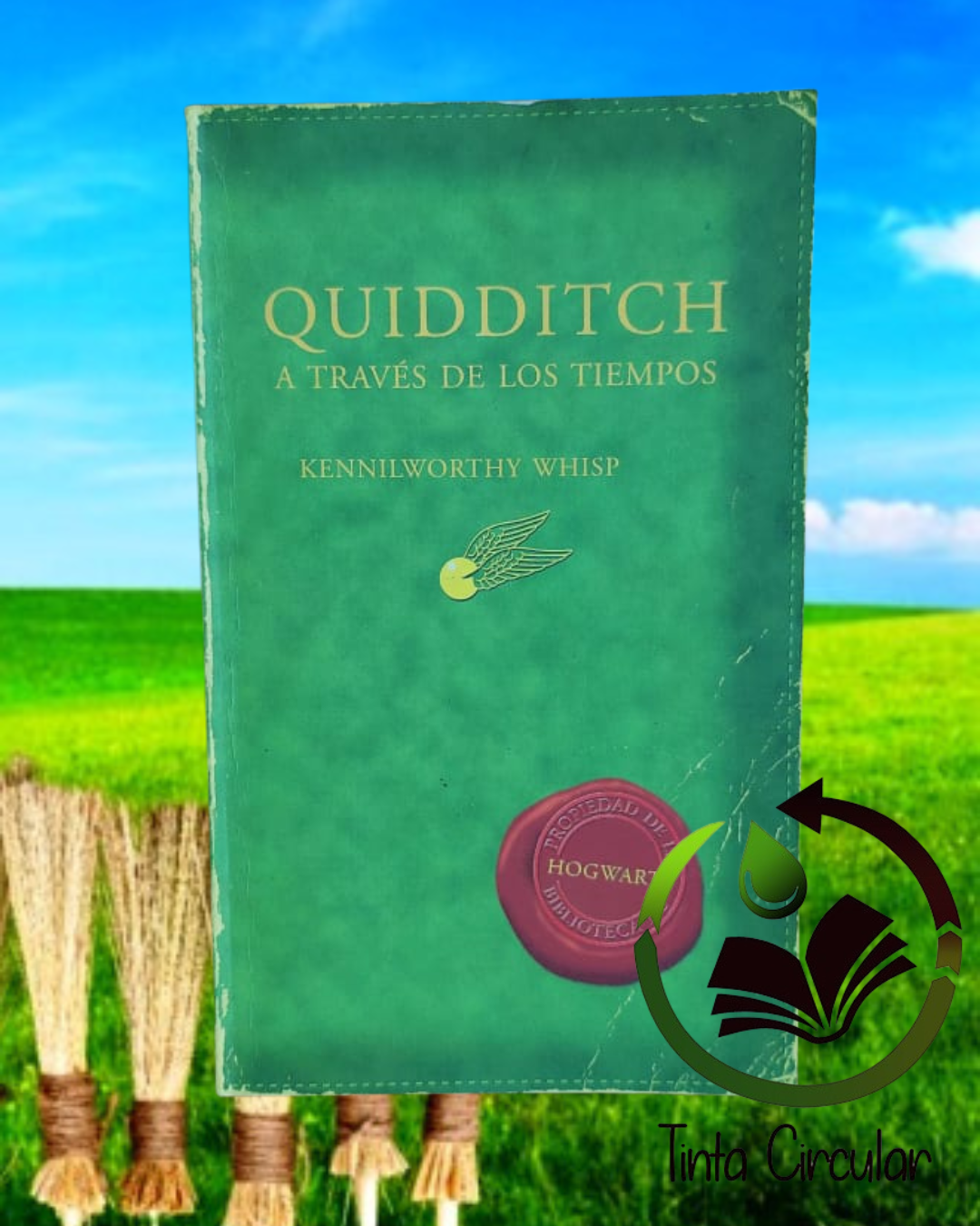 Quidditch a través de los tiempos
